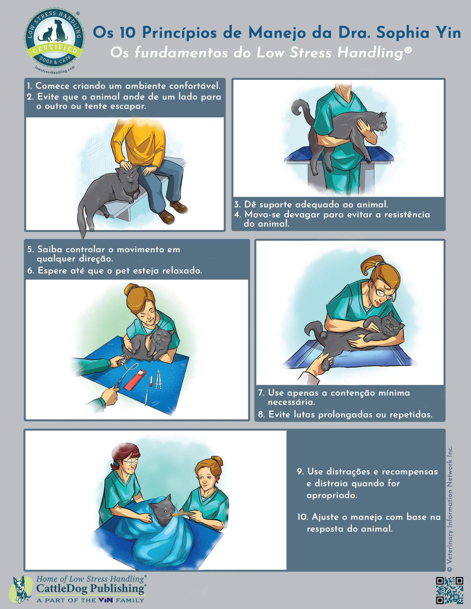 10 Principles of Handling Cat - Brazil-Portuguese 8.5x11in