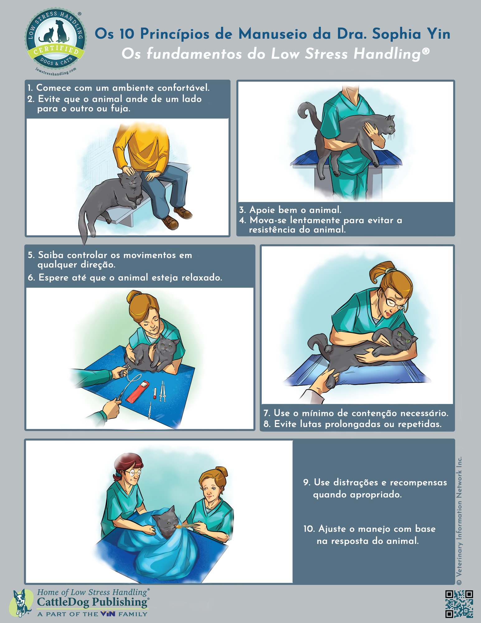 10 Principles of Handling Cat - Portuguese 8.5x11