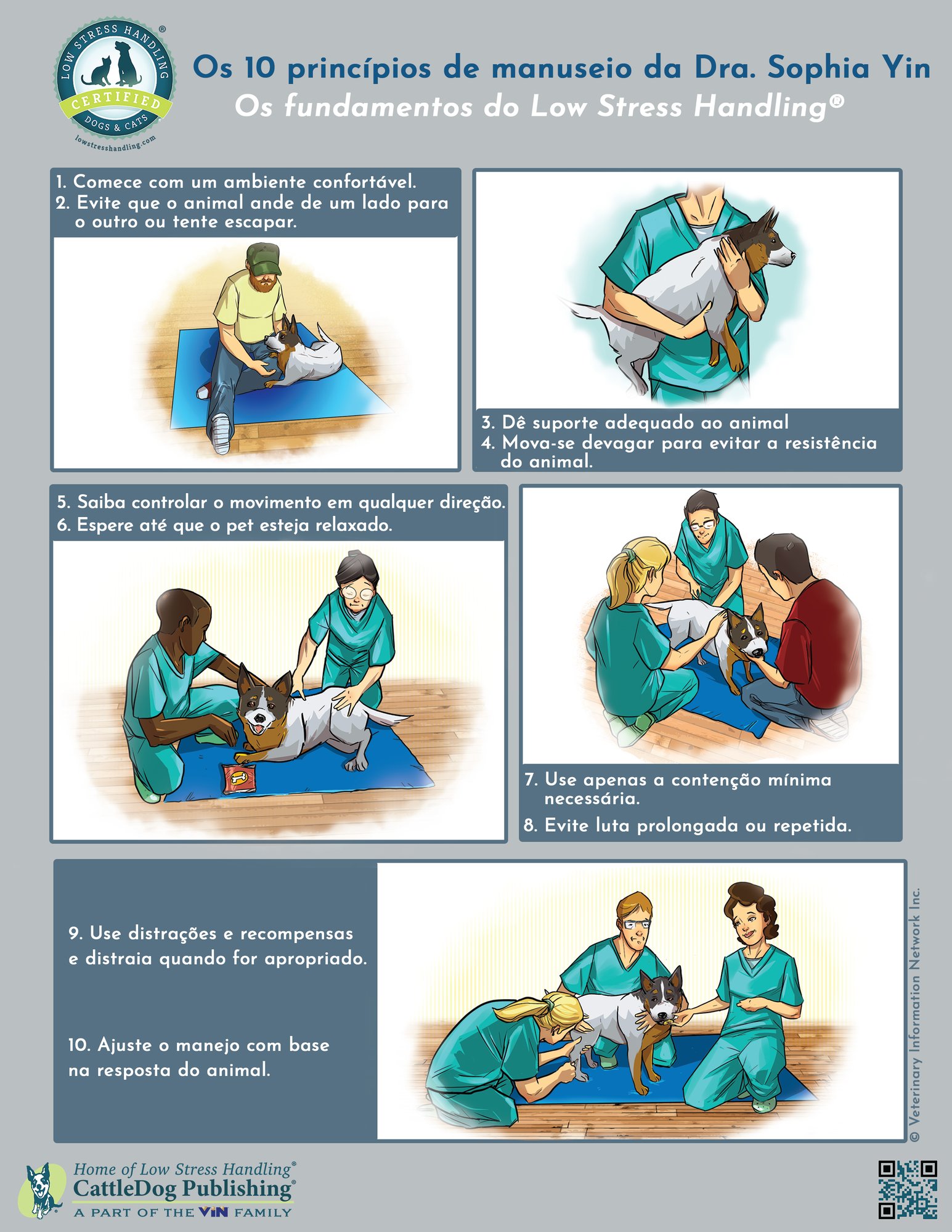 10 Principles of Handling Dog - Brazil-Portuguese 8.5x11in