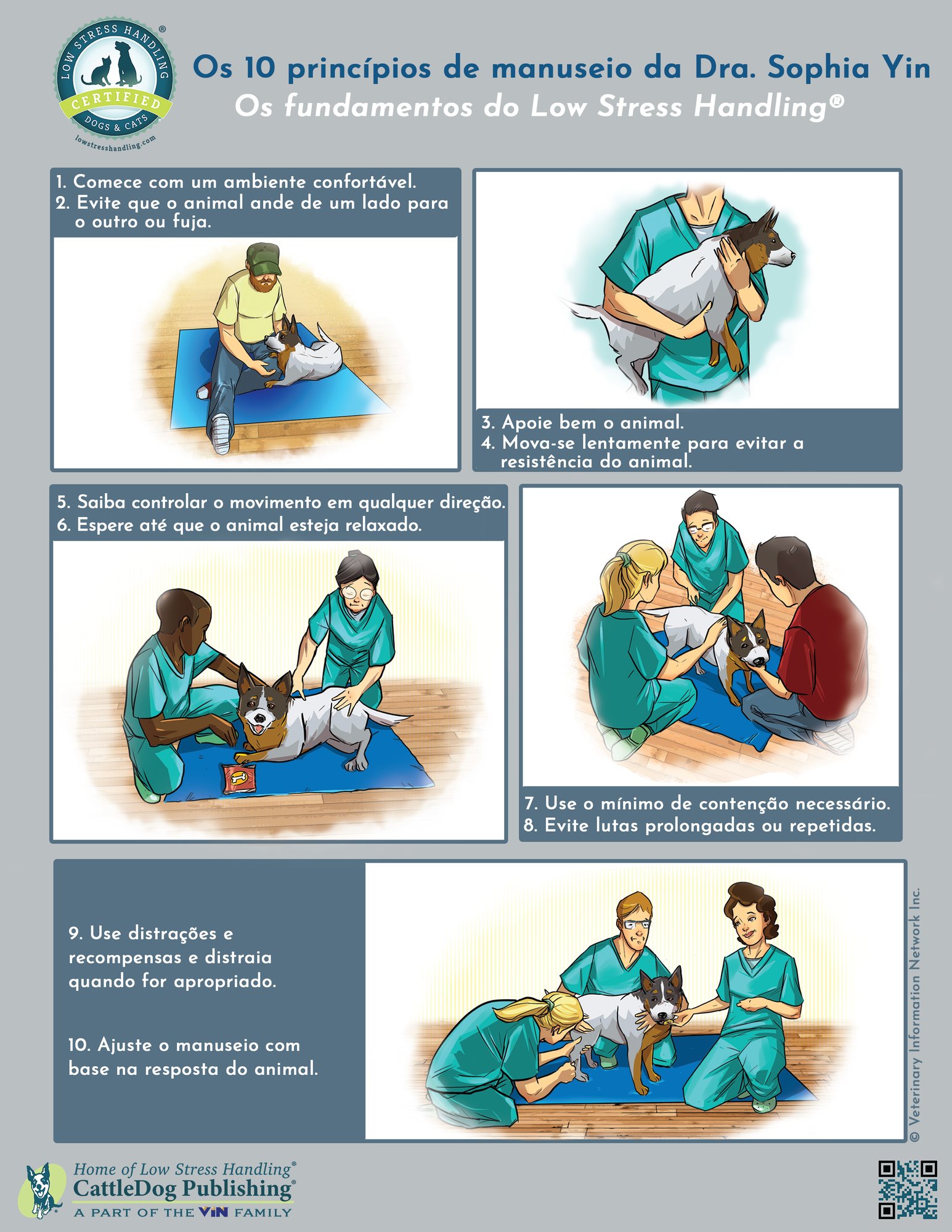 10 Principles of Handling Dog - Portuguese 8.5x11