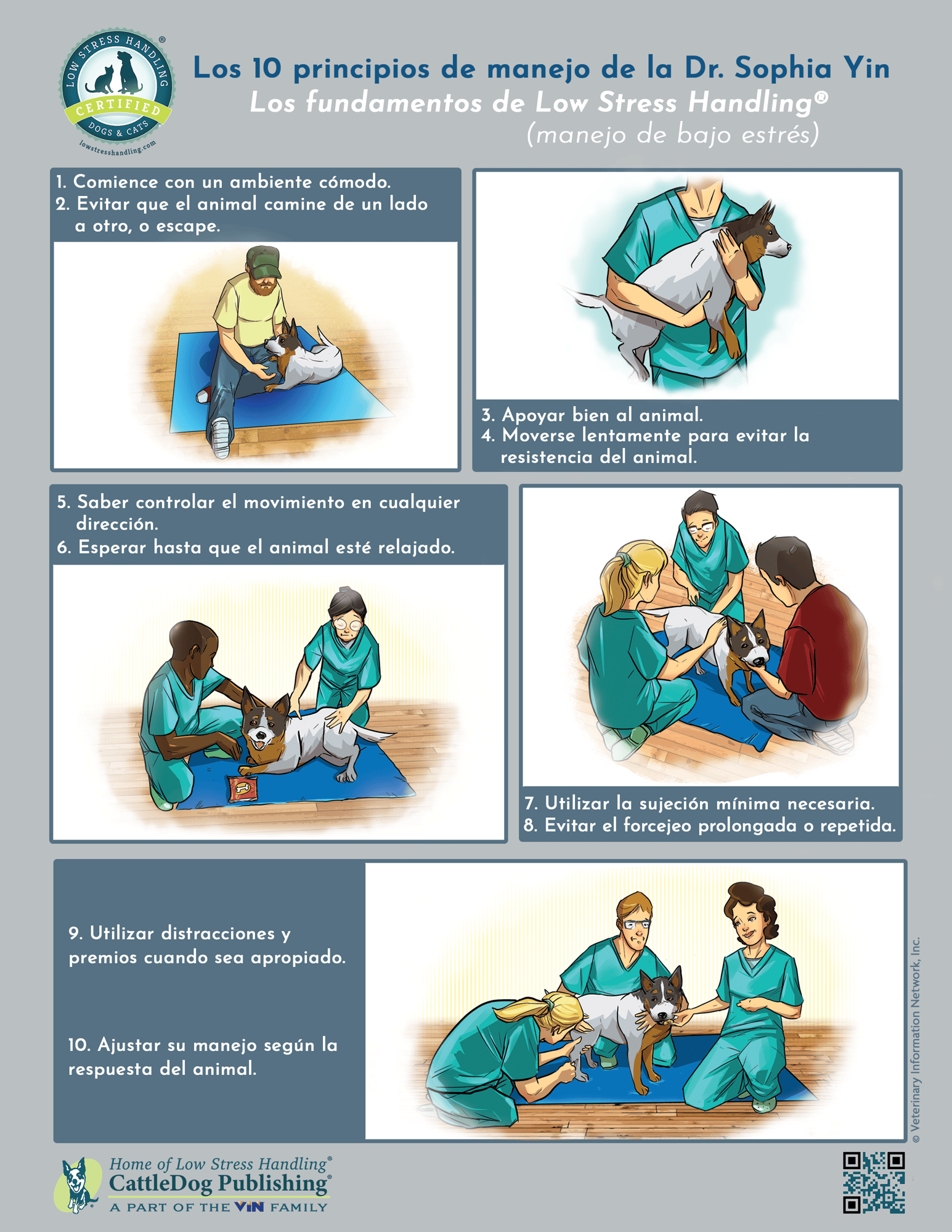 10 Principles of Handling Dog 8.5x11 - SPANISH