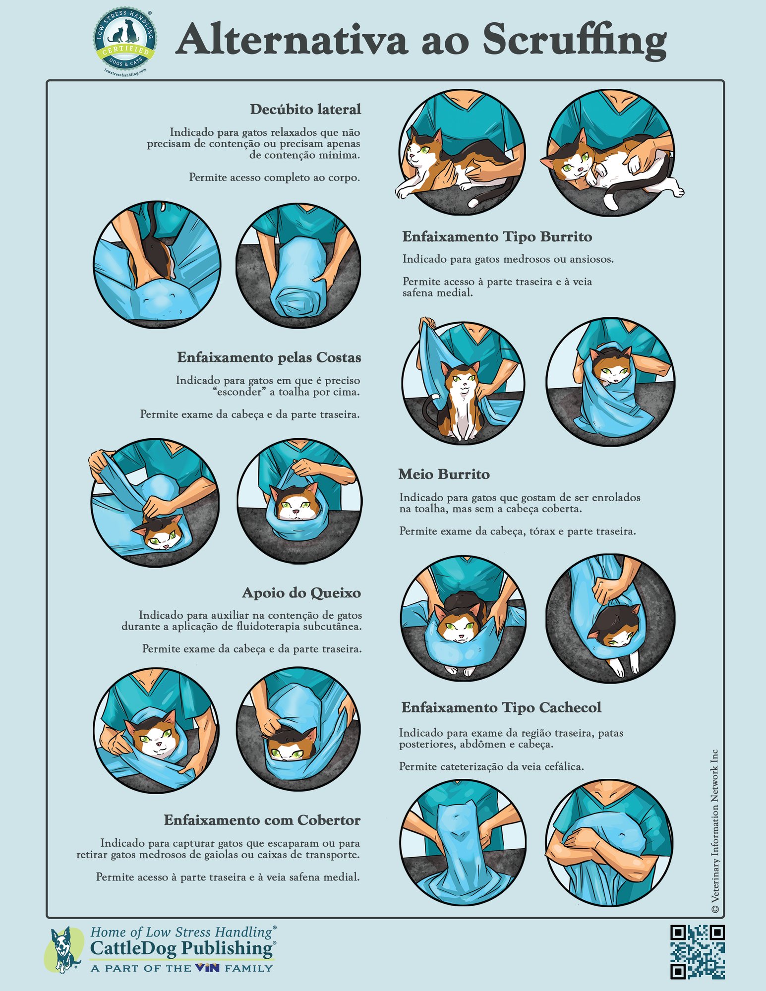 Alternatives to Scruffing Poster - Brazil-Portuguese 8.5x11in