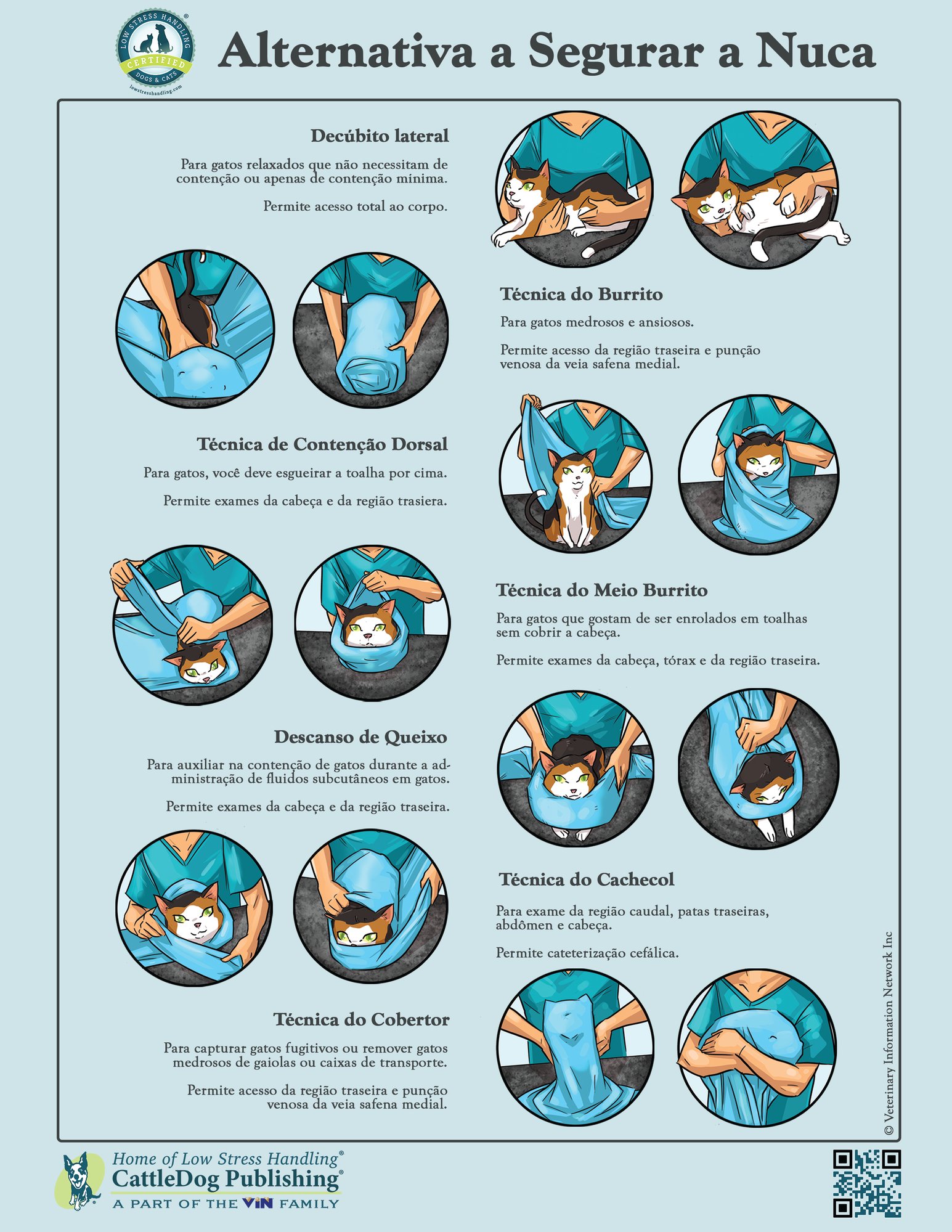 Alternatives to Scruffing Poster - Portuguese 8.5x11