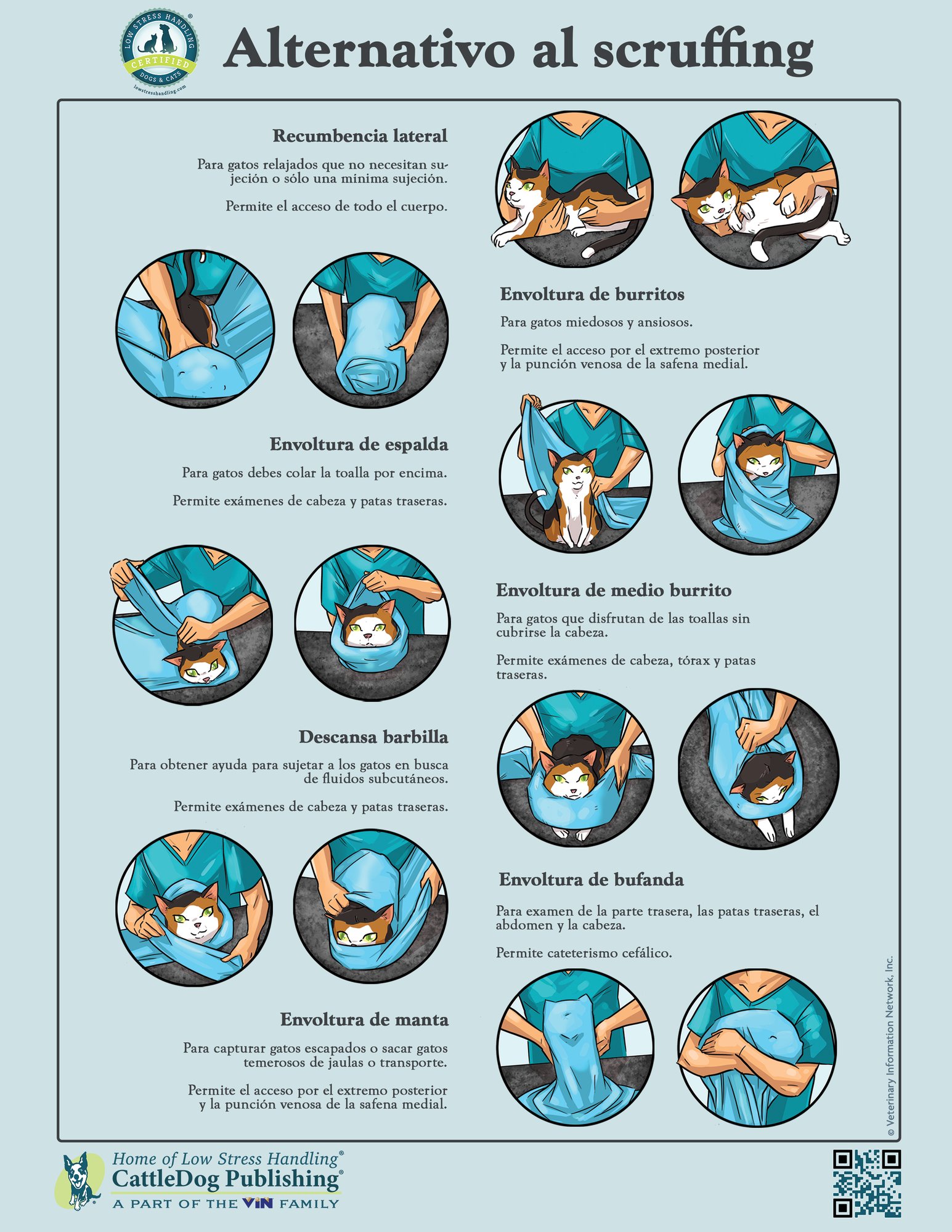 Alternatives to Scruffing Poster 8.5x11 - SPANISH
