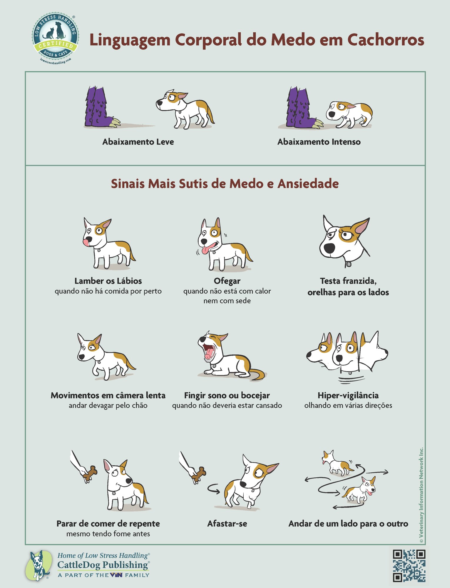 Body Language of Fear in Dogs - Brazil-Portuguese 8.5x11in