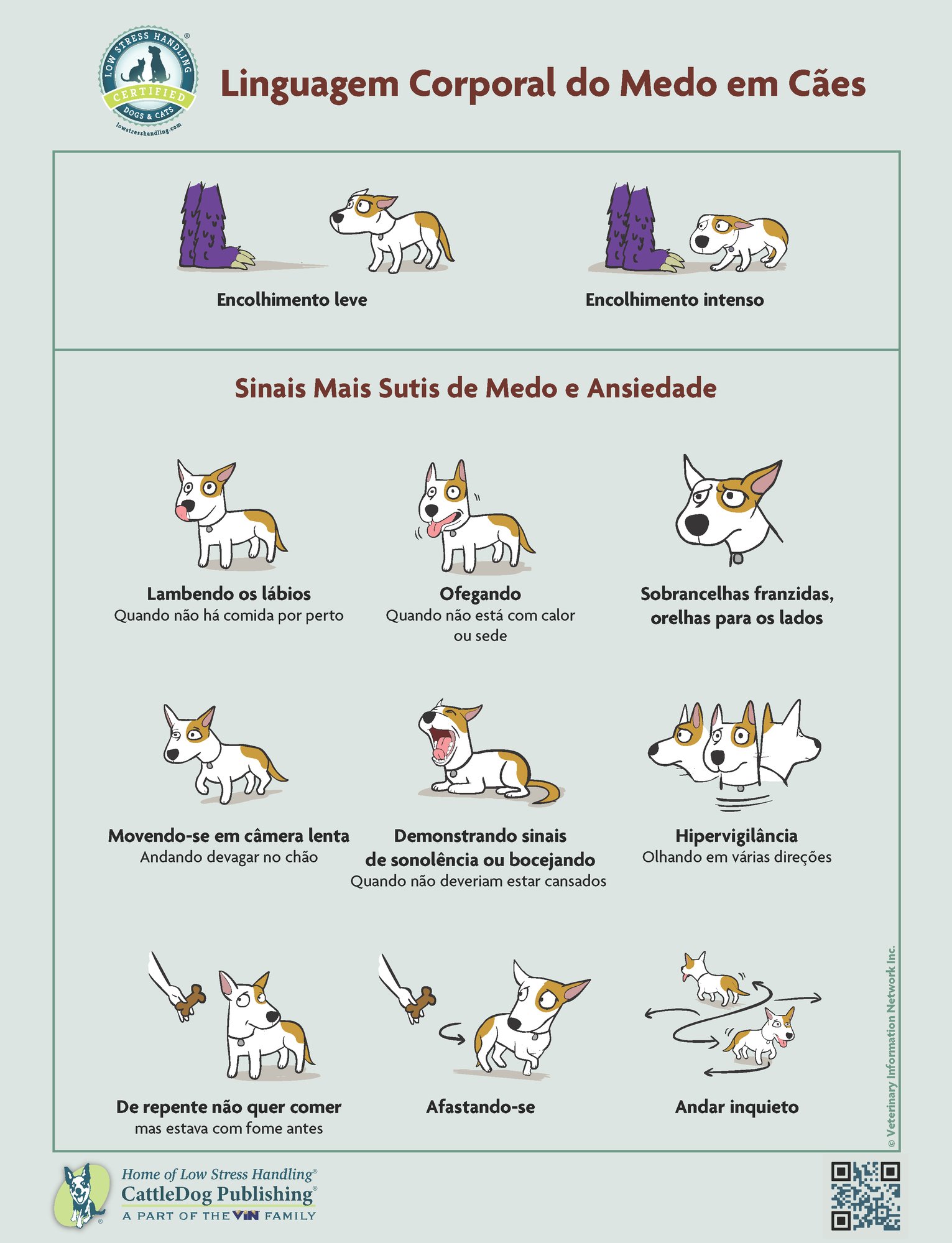 Body Language of Fear in Dogs - Portuguese 8.5x11