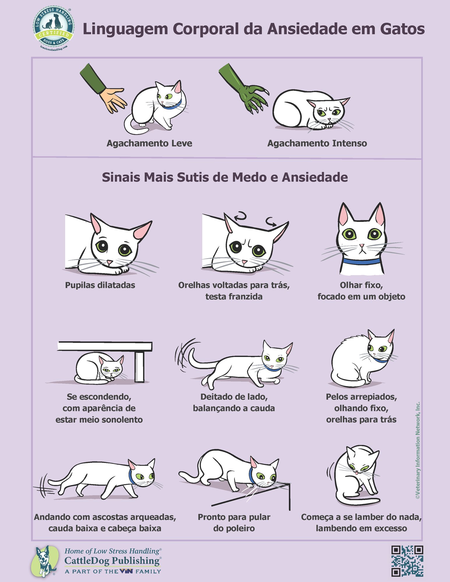 Body Language of Feline Anxiety - Brazil-Portuguese 8.5x11in