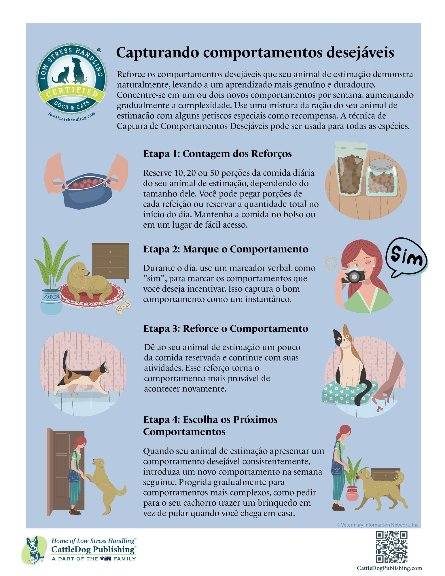 Capturing Desirable Behaviors - Portuguese 8.5x11