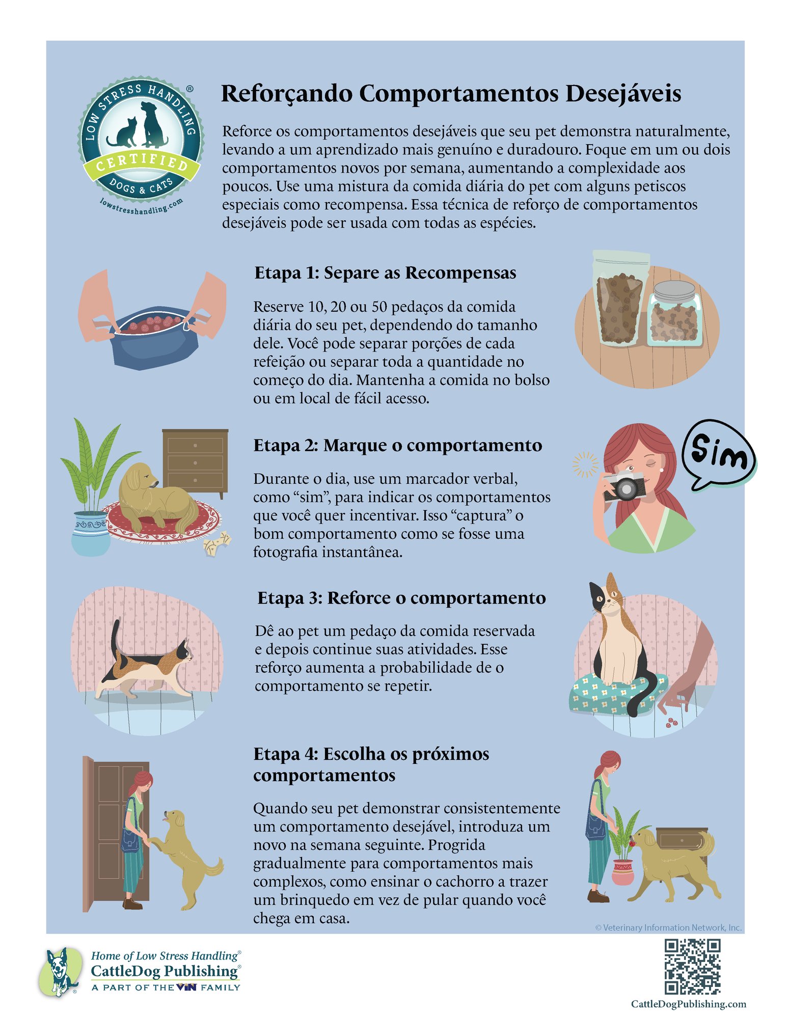 Capturing Desirable Behaviors poster - Brazil-Portuguese 8.5x11in