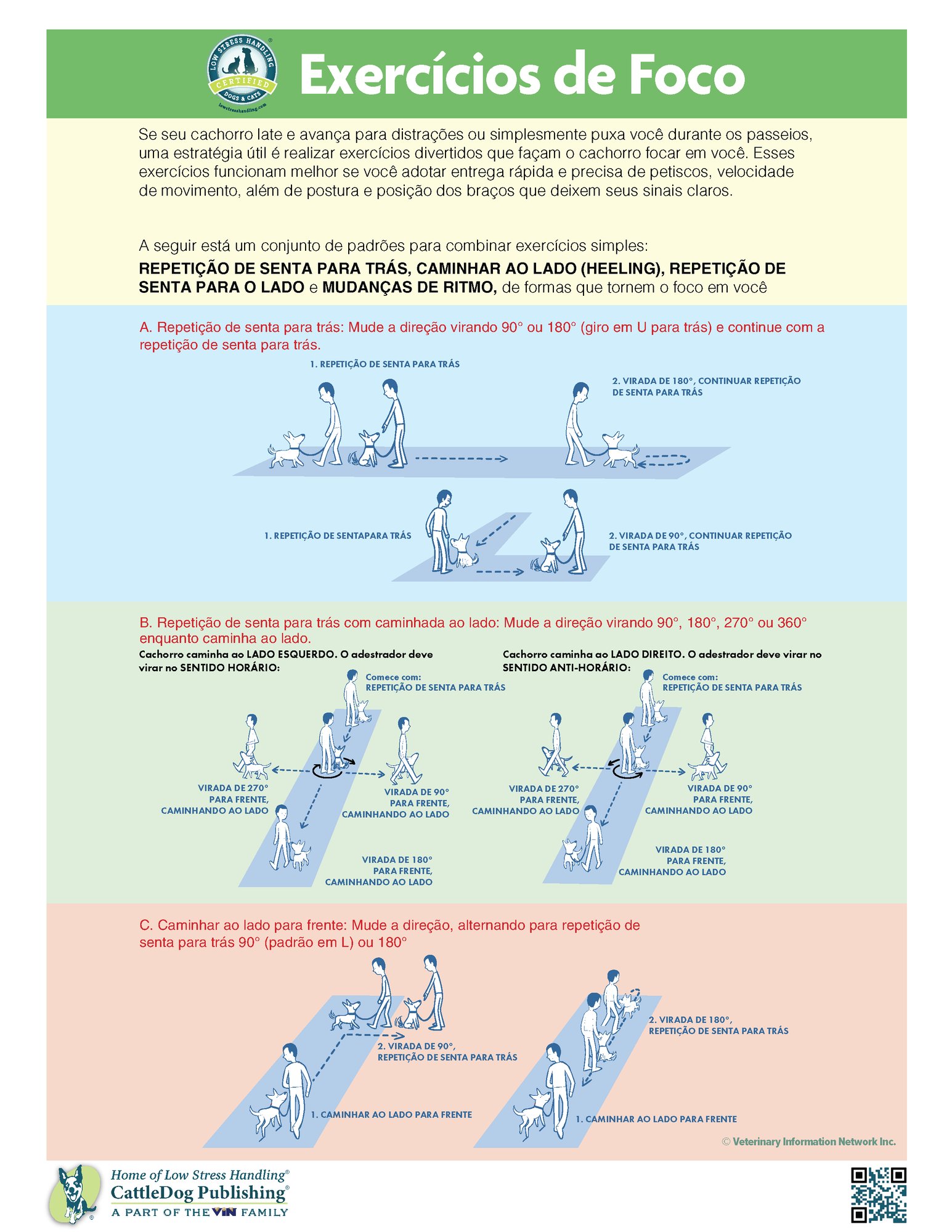 Focus Exercises - Brazil-Portuguese 8.5x11in