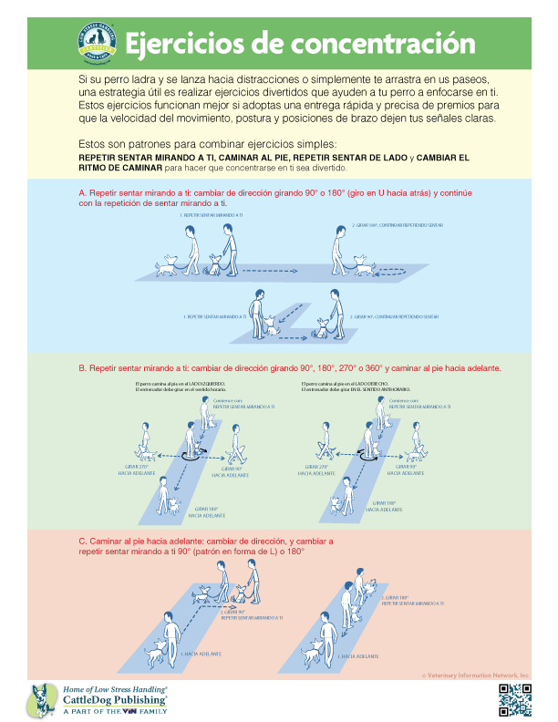 Focus Exercises 8.5x11in - SPANISH-1